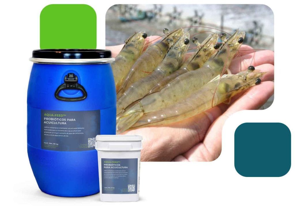 AQUA-FEED™ Probióticos para acuicultura – Bionetix México: Soluciones ...