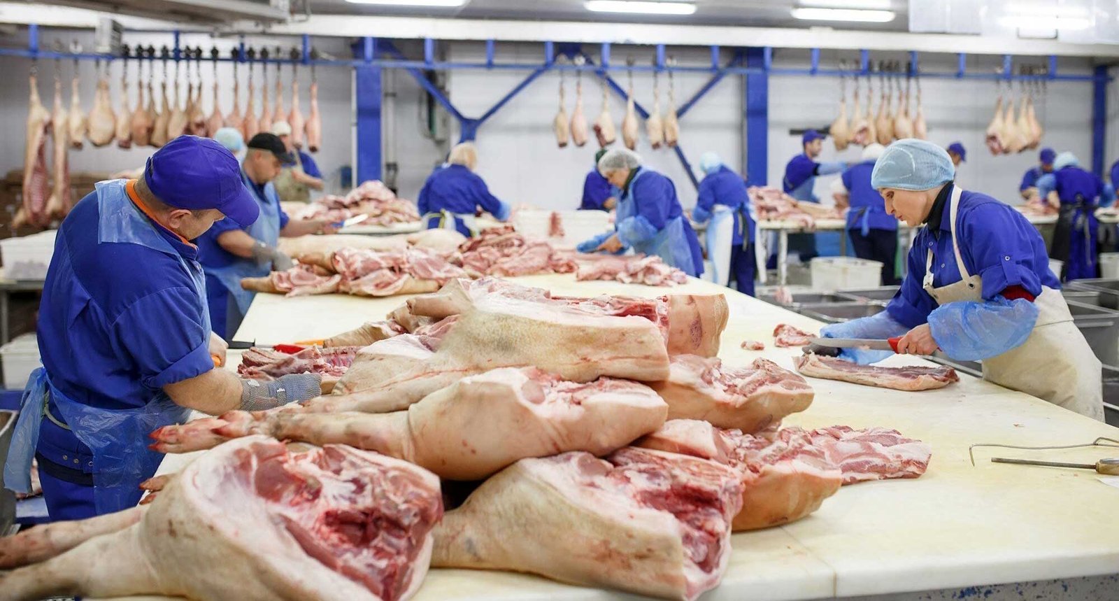 Reducción de DQO y degradación de grasas y aceites en aguas residuales de procesadora de carnes en Monterrey